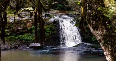 cachoeira