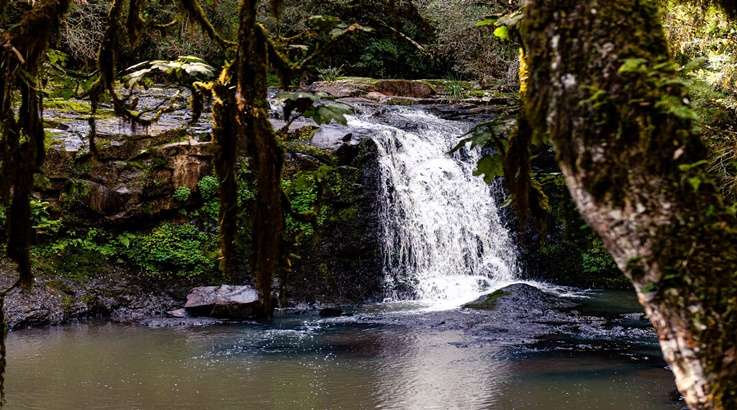 cachoeira