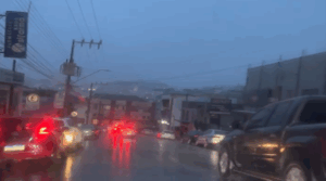 Caçador
