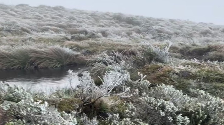 Neve na Serra e 3º C em Caçador 2 urupema