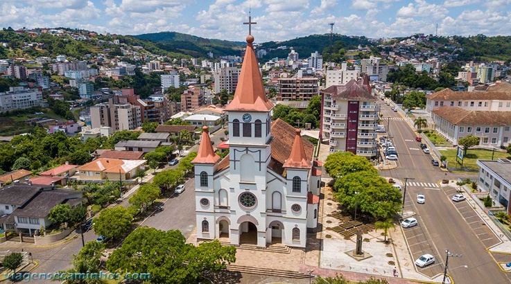 Videira