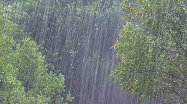 Domingo com chuva e frio intenso durante a semana 1 chuva 1