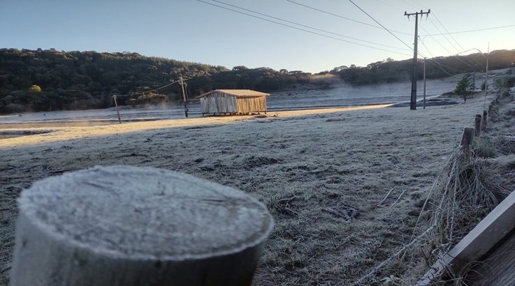 Caçador e região amanhecem cobertas de geada 1 geada1 1