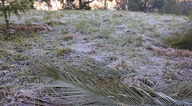 Caçador tem geada ampla e temperaturas negativas 2 geada2