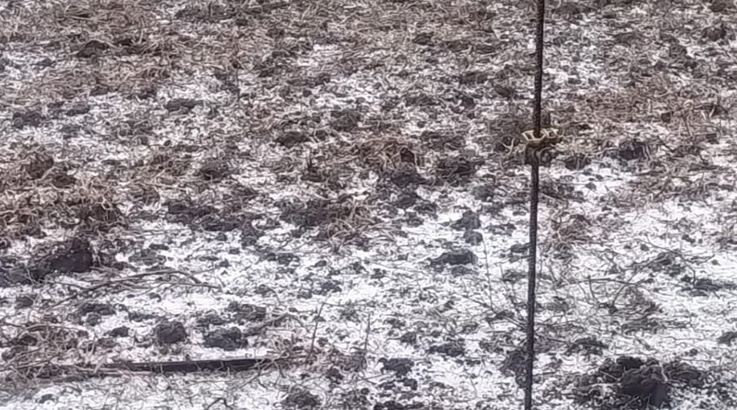Queda de granizo atinge Lebon Régis e Timbó Grande 1 granizo 2