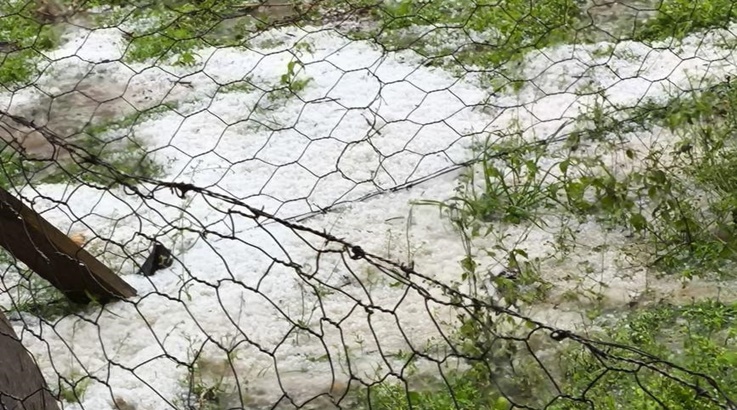 Queda de granizo atinge Lebon Régis e Timbó Grande 3 granizo2