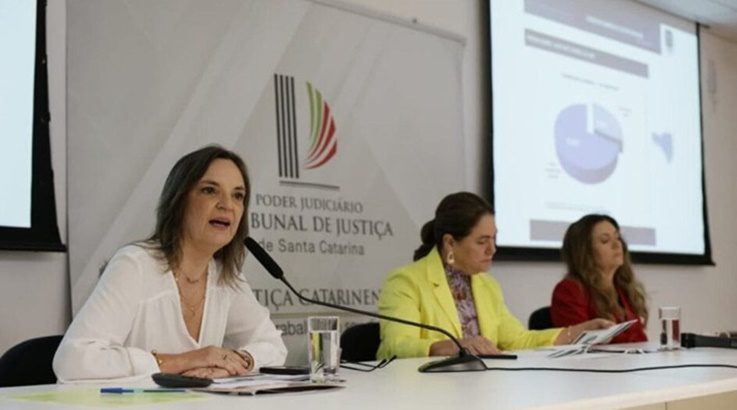 Números da violência doméstica em SC são alarmantes 1 violência