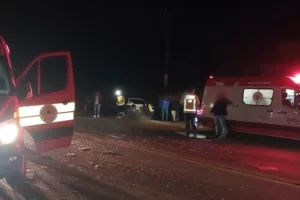 Videira