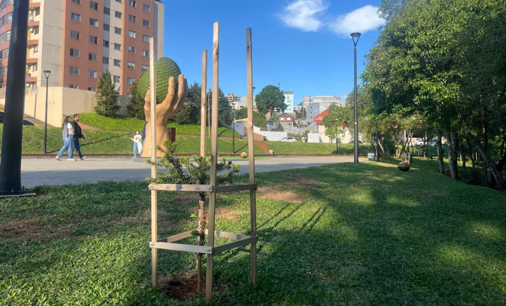 Prefeitura de Caçador entrega Vale das Araucárias Vanio Czerniak no Parque Linear 4 arau1