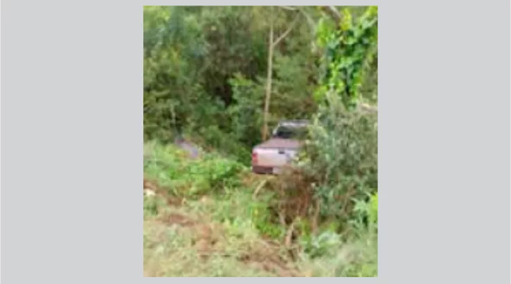 Motorista não aciona freio de mão e caminhonete despenca em ribanceira em Lebon Régis 1 carro