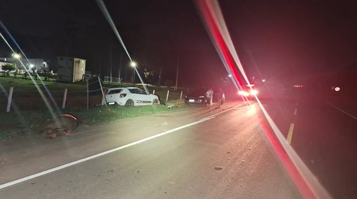Motorista fica ferido ao colidir em cavalo em Caçador 1 cavalo