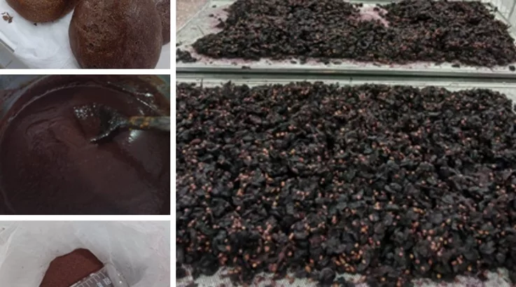 Projeto da Uniarp transforma bagaço de uva em produto 3 uniarp2