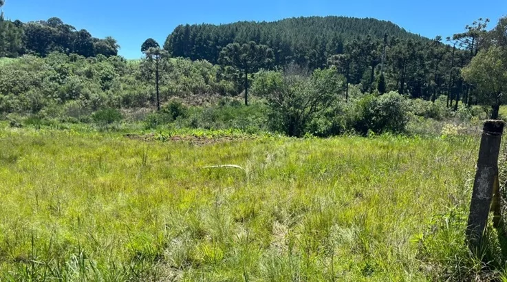 Cinco pessoas ficam feridas em saída de pista em Caçador 4 acidente3