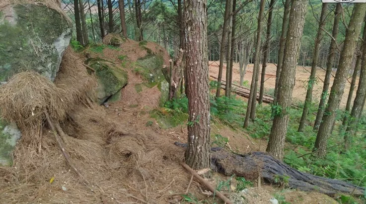 Corpo em decomposição é encontrado em área rural de Rio das Antas 2 corp