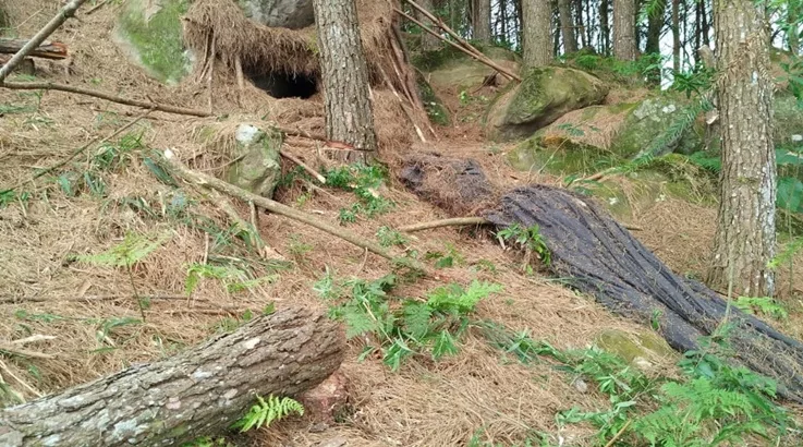 Corpo em decomposição é encontrado em área rural de Rio das Antas 3 corpo1
