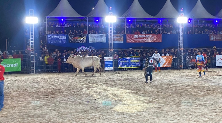 rodeio
