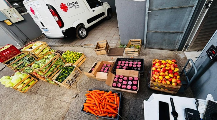 alimentos