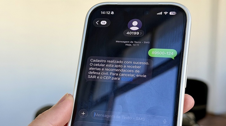 celular