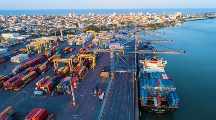 exportação