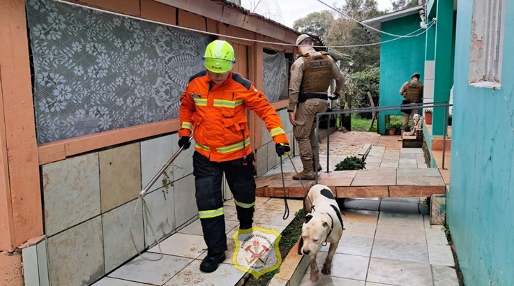 cão