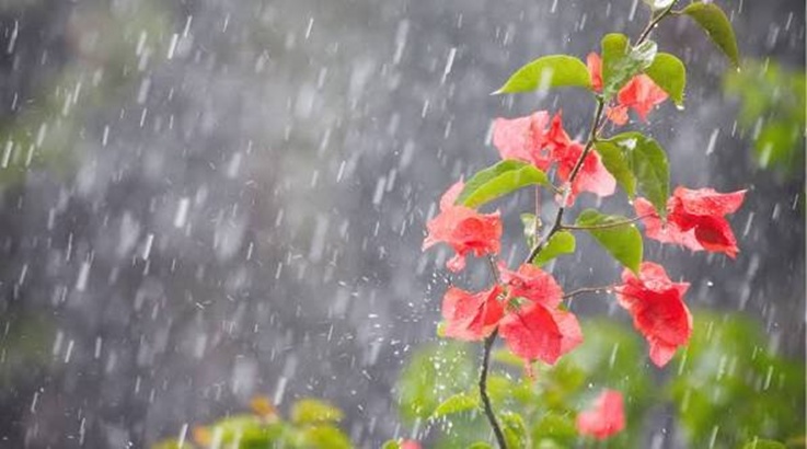 chuva