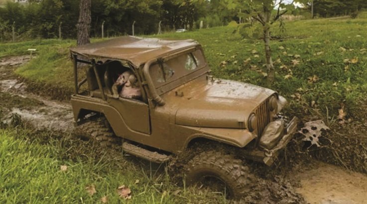 jeep