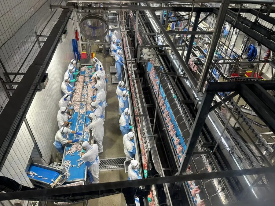 SC exporta 85 mil toneladas para União Europeia no 1º semestre de 2026, em período pré-embargo