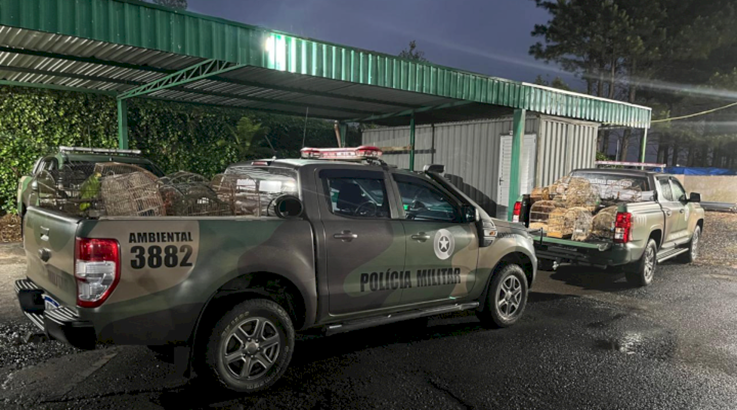 Polícia Ambiental