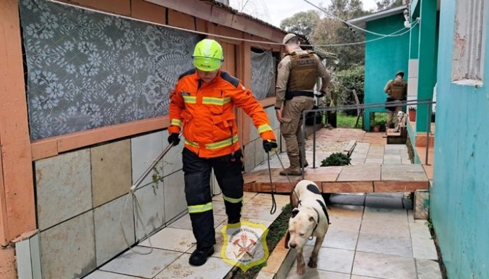 cão