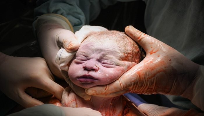 bebê