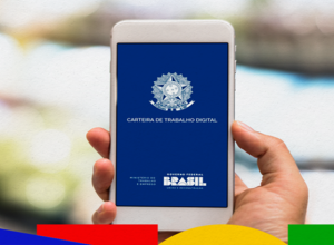 carteira