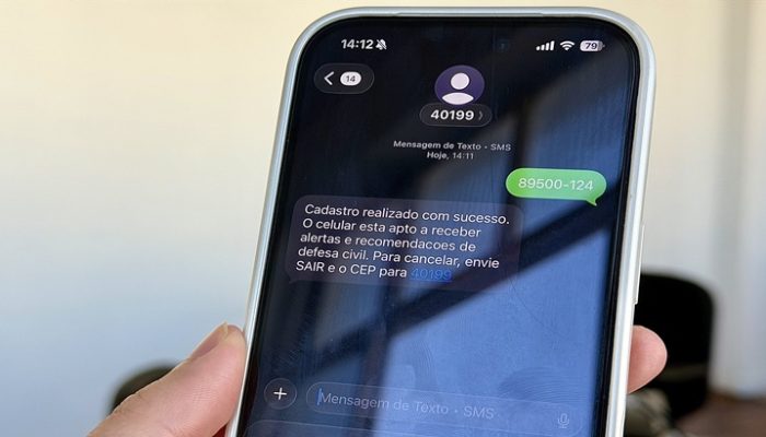 celular