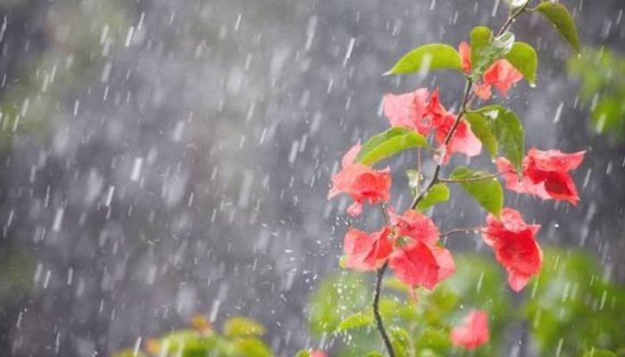 chuva