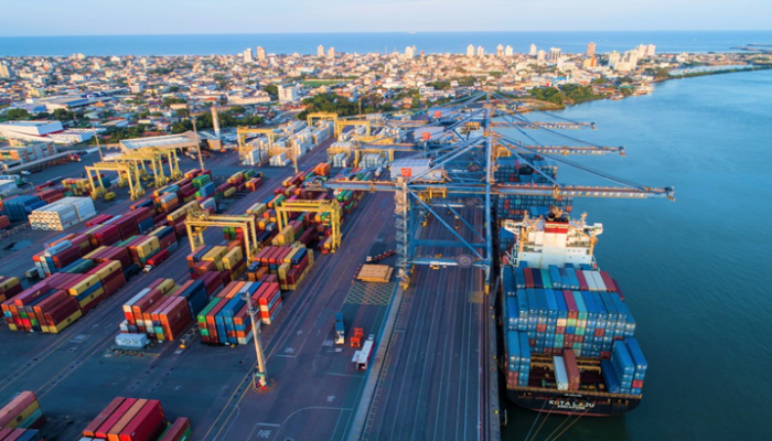 exportação