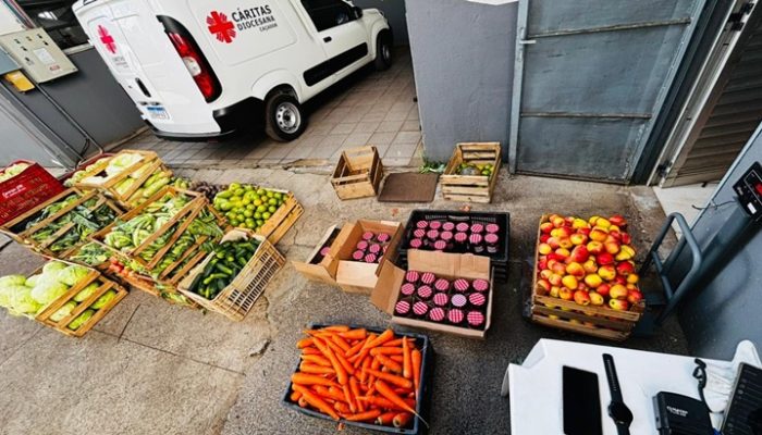 alimentos