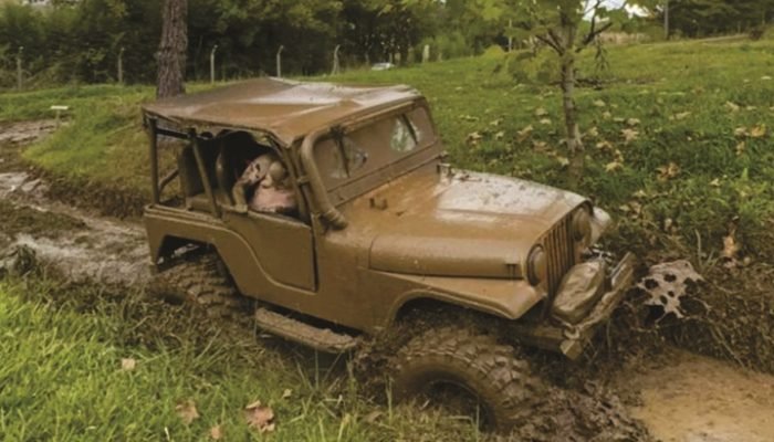 jeep