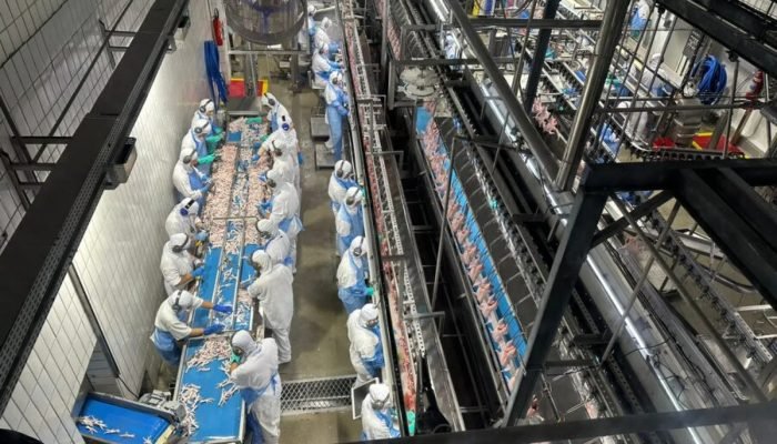 SC exporta 85 mil toneladas para União Europeia no 1º semestre de 2026, em período pré-embargo