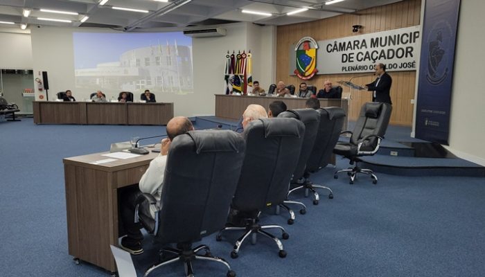 divulgação