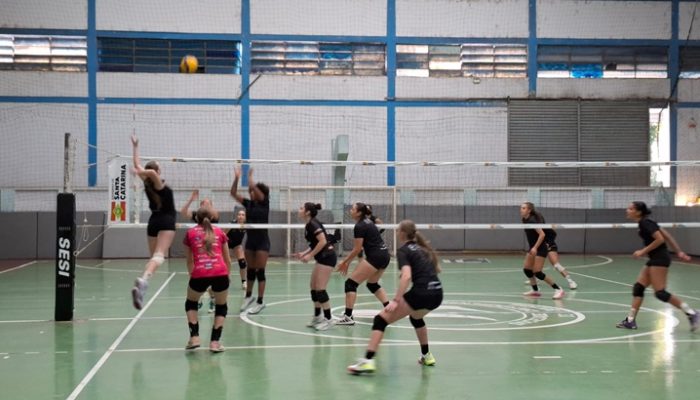 vôlei